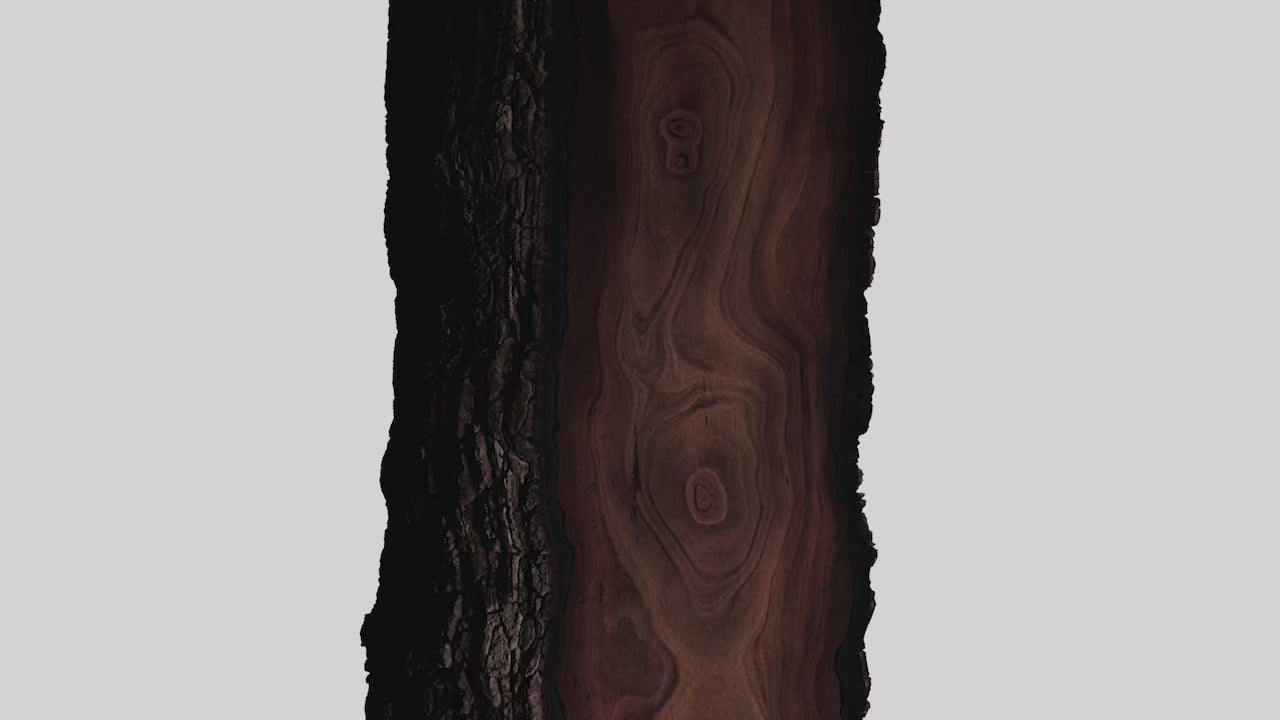 Bois d'Ébène Eau de Parfum - Cabreuva Oil from Brazil
